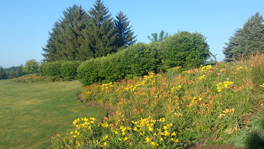 Landscape maintenance in Hawthorn Woods