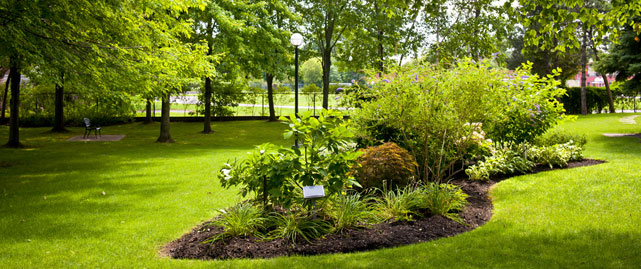 This is Landscape Maintenance Edge Image