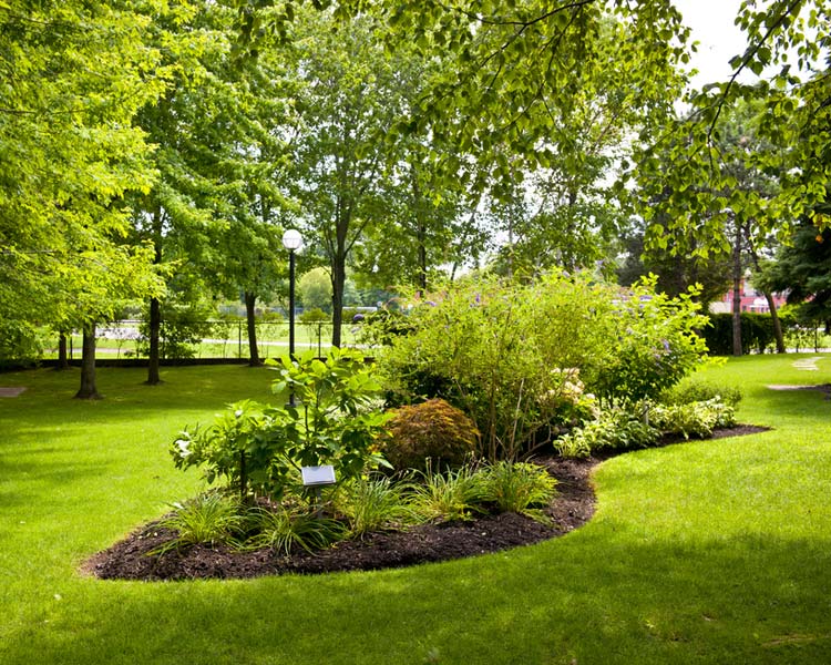 This is Landscape Maintenance Mulch Image