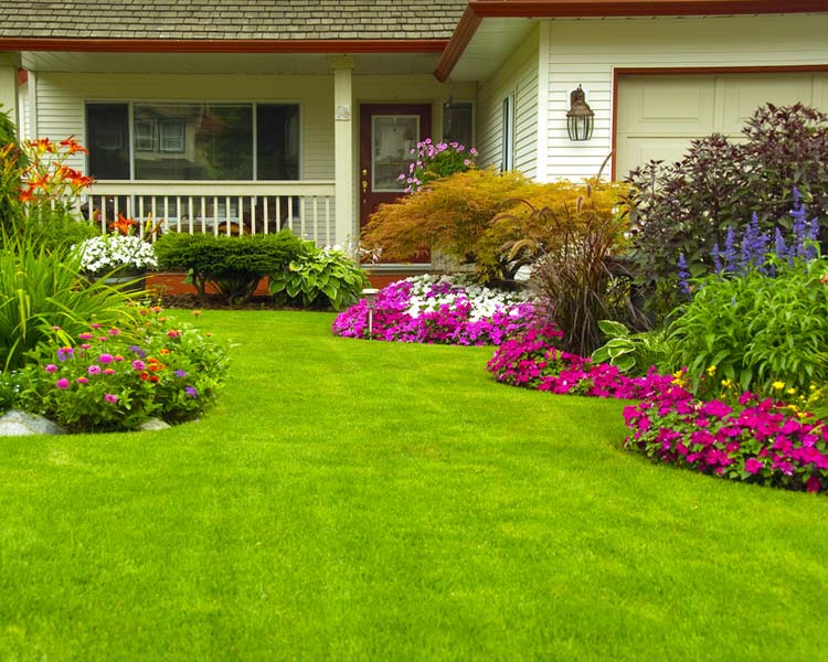 This is Landscape Maintenance Residential Image